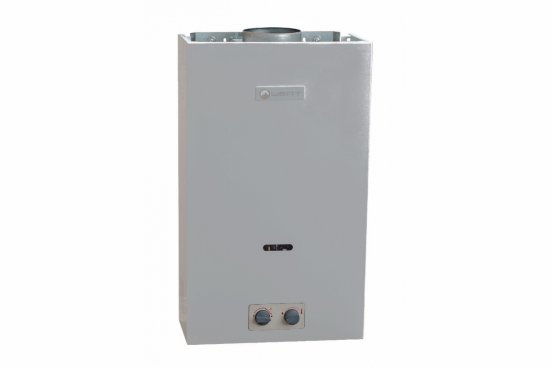 Газовый проточный водонагреватель WertRus 10P Gray